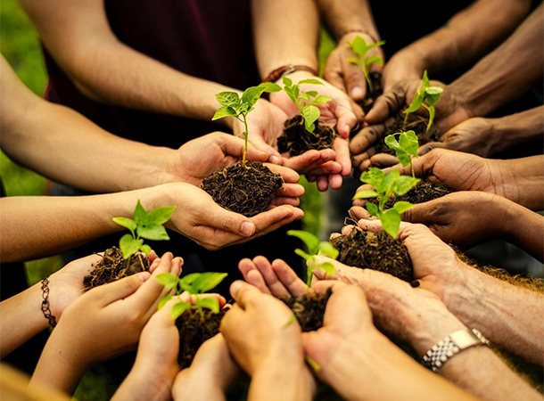 Green Bengaluru Mission: A Step Towards a Sustainable Future