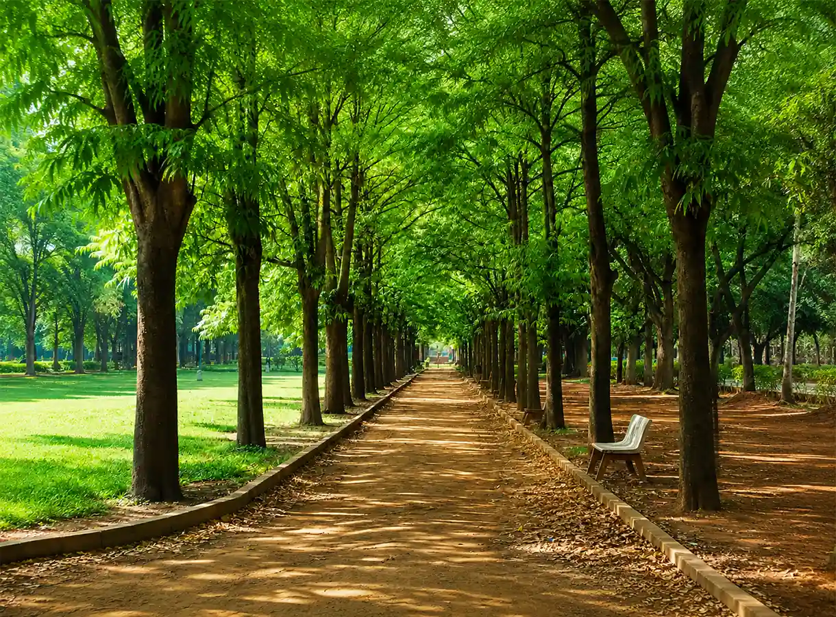 5 Must-Visit Photography Spots in Bangalore